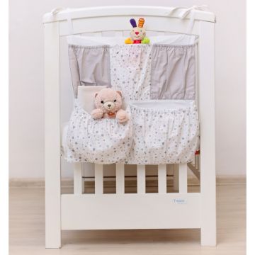 Organizator patut Stelute