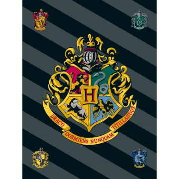 Pătură pentru copii din polar/fleece 100x150 cm Harry Potter – Jerry Fabrics