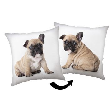 Pernă pentru copii 40x40 cm Bulldog – Jerry Fabrics