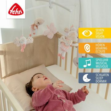 Carusel muzical mobil Taramul viselor